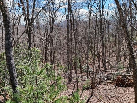 Lot 12 Native Trail Blue Ridge GA 30513