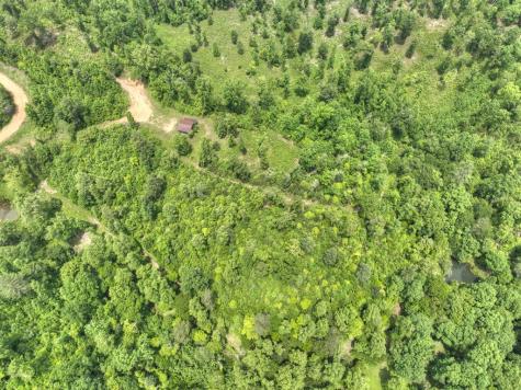 7.5 Ac Hidden Acres Blue Ridge GA 30513