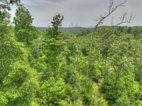 7.5 Ac Hidden Acres Blue Ridge GA 30513