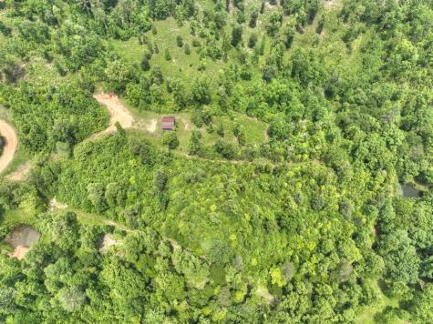 7.5 Ac Hidden Acres Blue Ridge GA 30513