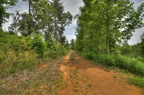 7.5 Ac Hidden Acres Blue Ridge GA 30513
