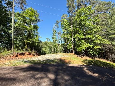 0 Limber Lost Trail Cleveland GA 30528