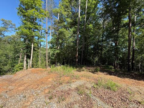 0 Limber Lost Trail Cleveland GA 30528