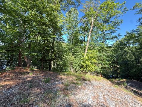 0 Limber Lost Trail Cleveland GA 30528