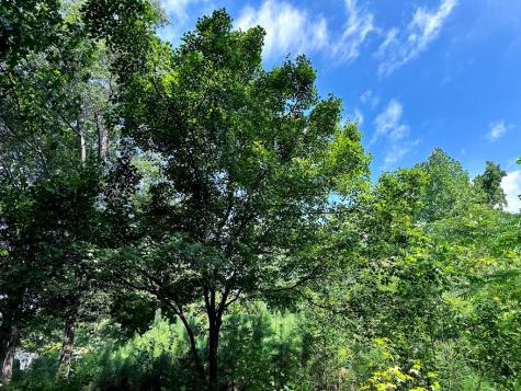 133 Ridgeway Ct, SE Acworth GA 30101