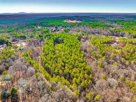 0 Reavis Road Ball Ground GA 30107