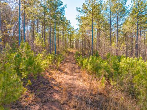 0 Reavis Road Ball Ground GA 30107