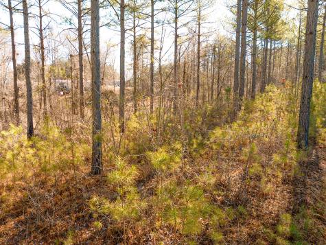 0 Reavis Road Ball Ground GA 30107