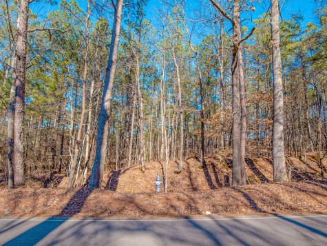 0 Reavis Road Ball Ground GA 30107