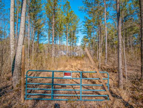 0 Reavis Road Ball Ground GA 30107