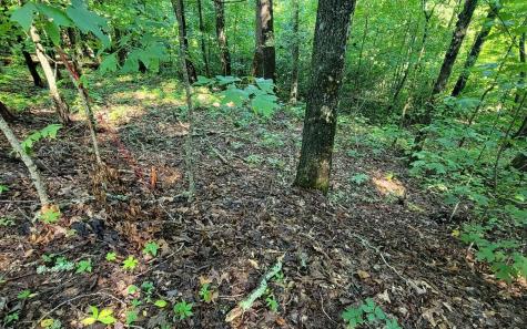 154-5 Dogwood Circle Hayesville NC 28904