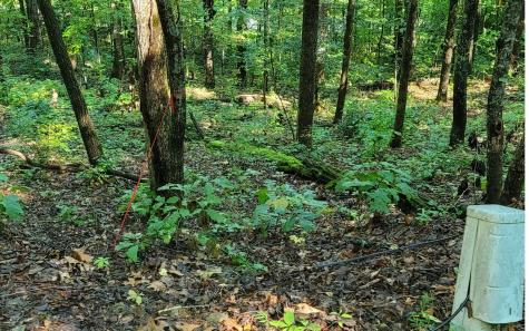 154-5 Dogwood Circle Hayesville NC 28904