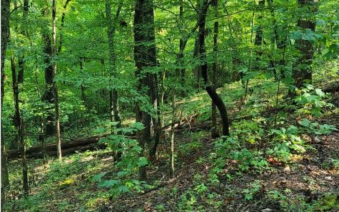 154-5 Dogwood Circle Hayesville NC 28904