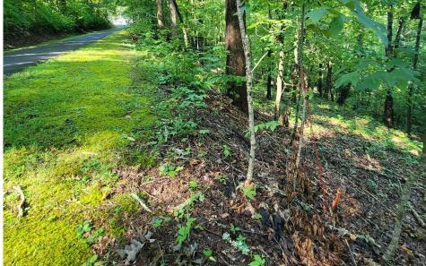 154-5 Dogwood Circle Hayesville NC 28904