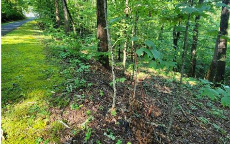 154-5 Dogwood Circle Hayesville NC 28904