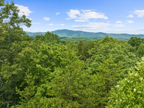 0 Crawford Road Mccaysville GA 30555