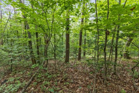0 Crawford Road Mccaysville GA 30555