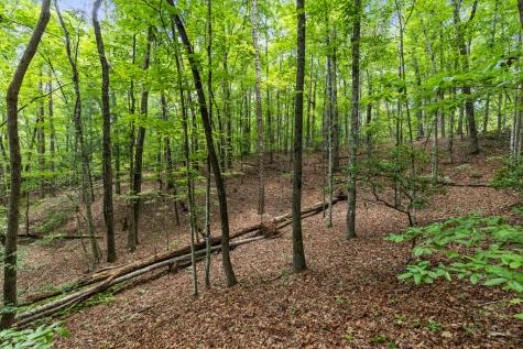 0 Crawford Road Mccaysville GA 30555