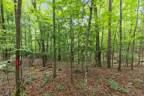 0 Crawford Road Mccaysville GA 30555