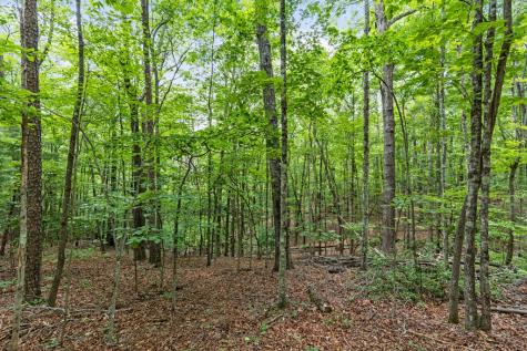 0 Crawford Road Mccaysville GA 30555