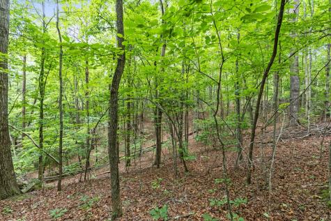0 Crawford Road Mccaysville GA 30555