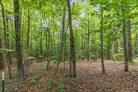 0 Crawford Road Mccaysville GA 30555