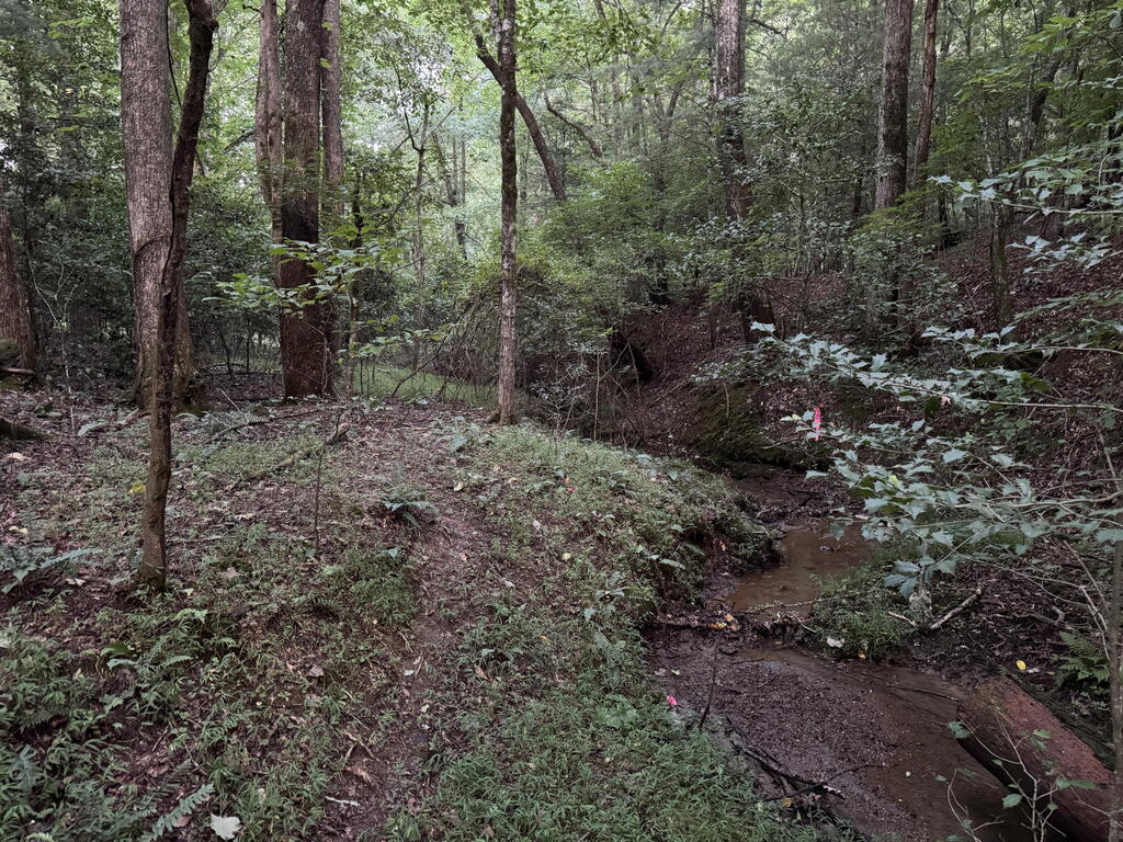 LT35 Tr2 Scenic Drive Hayesville NC 28904