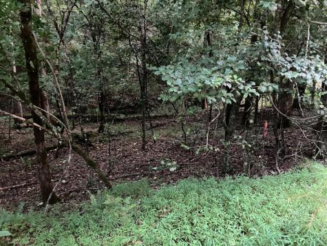 LT35 Tr2 Scenic Drive Hayesville NC 28904