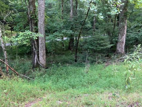 LT35 Tr2 Scenic Drive Hayesville NC 28904