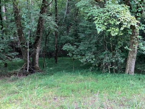 LT35 Tr2 Scenic Drive Hayesville NC 28904