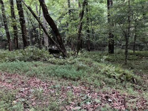 LT35 Tr2 Scenic Drive Hayesville NC 28904