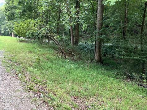 LT35 Tr2 Scenic Drive Hayesville NC 28904