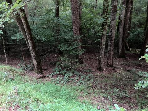LT35 Tr2 Scenic Drive Hayesville NC 28904
