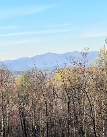 Lot 54 Bears Paw Drive Ellijay GA 30536