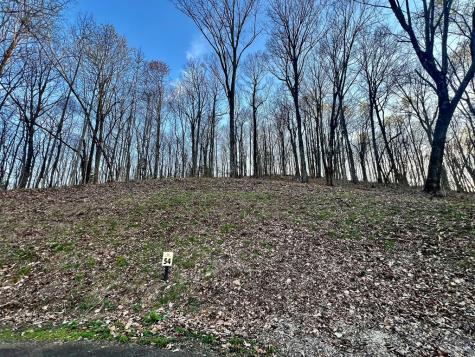 Lot 54 Bears Paw Drive Ellijay GA 30536