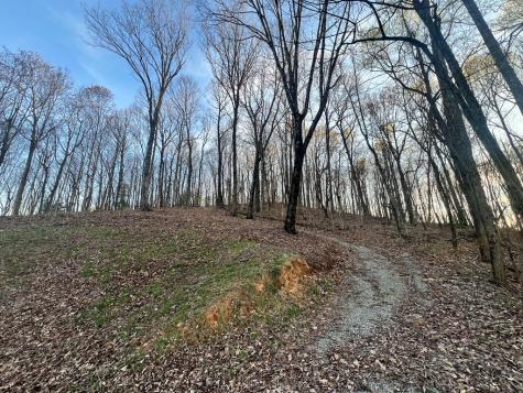 Lot 54 Bears Paw Drive Ellijay GA 30536