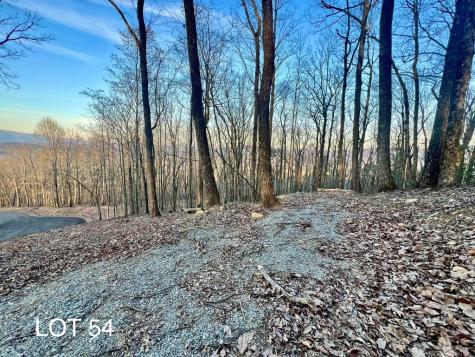 Lot 54 Bears Paw Drive Ellijay GA 30536