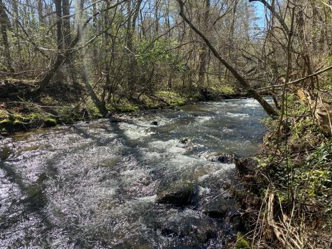 Lot 54 Bears Paw Drive Ellijay GA 30536