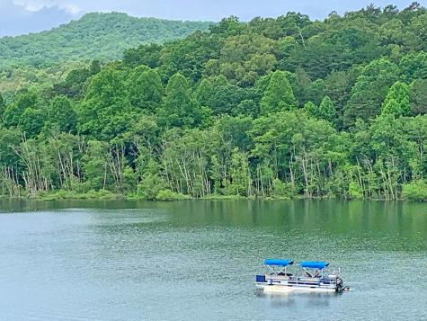 Lot 5 Walnut Drive Blairsville GA 30512