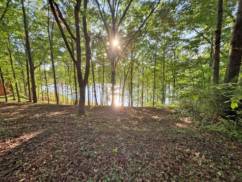 Lot 5 Walnut Drive Blairsville GA 30512