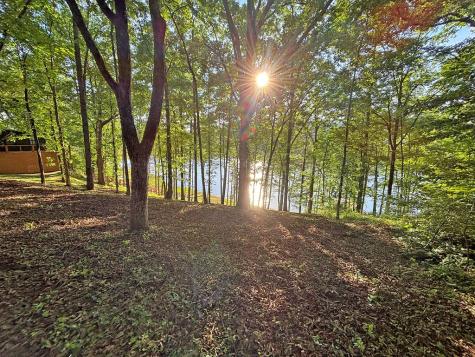 Lot 5 Walnut Drive Blairsville GA 30512