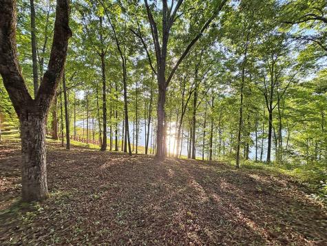 Lot 5 Walnut Drive Blairsville GA 30512