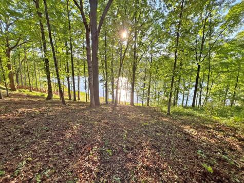 Lot 5 Walnut Drive Blairsville GA 30512