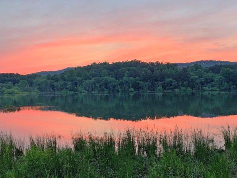 Lot 5 Walnut Drive Blairsville GA 30512