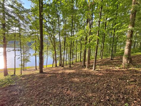 Lot 5 Walnut Drive Blairsville GA 30512