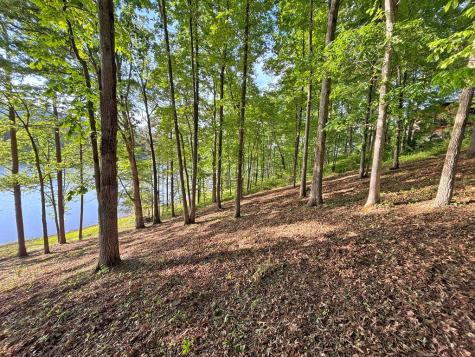 Lot 5 Walnut Drive Blairsville GA 30512