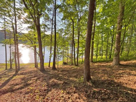 Lot 5 Walnut Drive Blairsville GA 30512