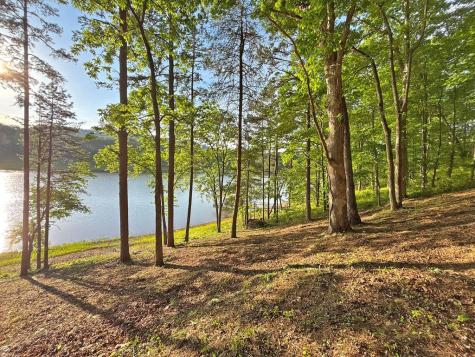 Lot 5 Walnut Drive Blairsville GA 30512