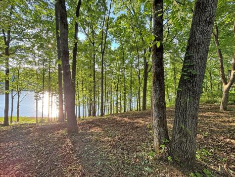 Lot 5 Walnut Drive Blairsville GA 30512