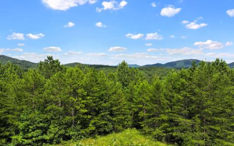 North View Drive Mineral Bluff GA 30559